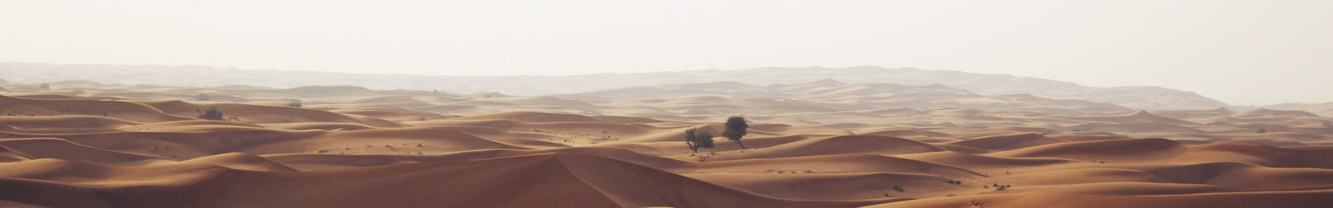 ŷӿƼ޹˾